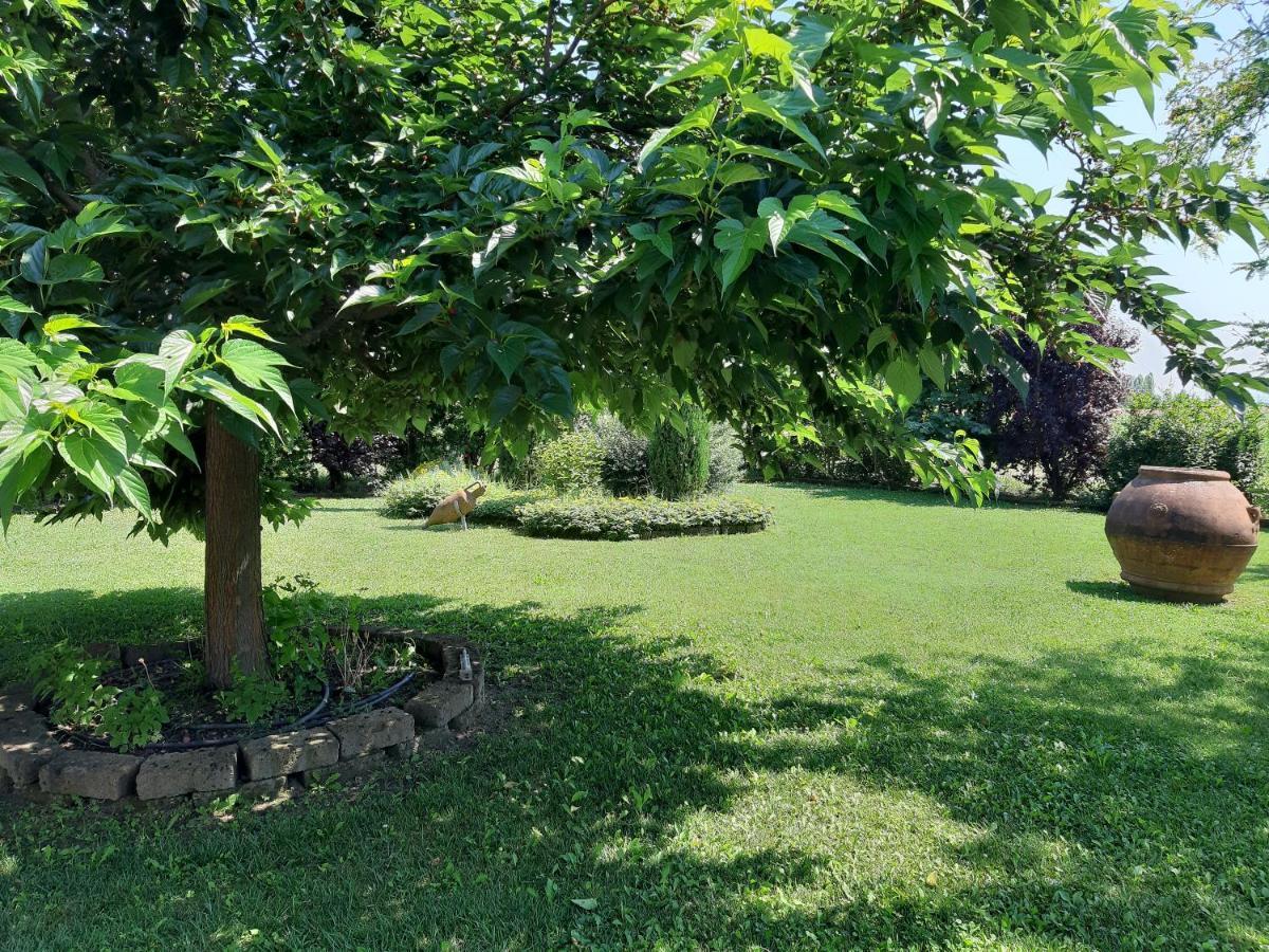 Casa Massimo Hotel Altedo Luaran gambar